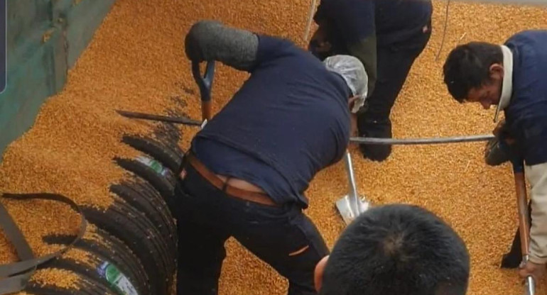 Aduana detectó neumáticos escondidos entre granos. Foto: DNA