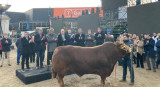 Horacio Rodríguez Larreta y Nicolás Pino realizaron el tradicional corte de cinta en La Rural. Foto: NA.