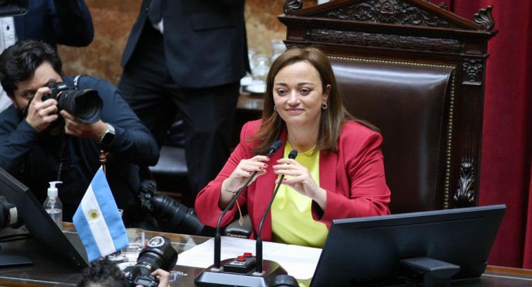 Cecilia Moreau, Diputados, Gobierno, NA