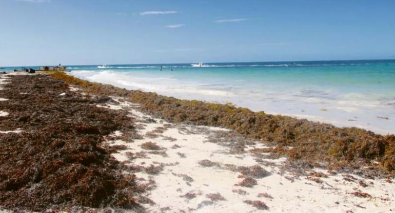 Playas Florida. Foto: EFE.