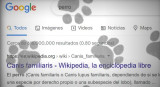 Pantalla de Google con huellitas. Foto: captura de pantalla.