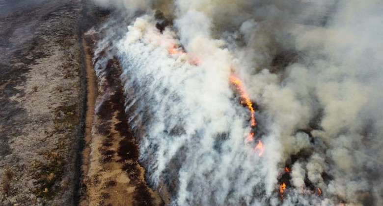 Incendios en el Delta. Foto: NA.