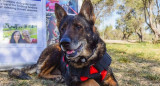 Ruca tenía 13 años y llevaba casi un año sin prestar servicio. Foto: gentileza Los Andes.