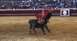 Un torero sufrió una cornada. Foto: captura pantalla.