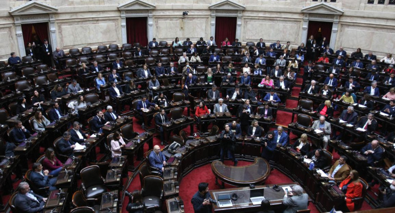 Sesión especial en Diputados. Foto: NA