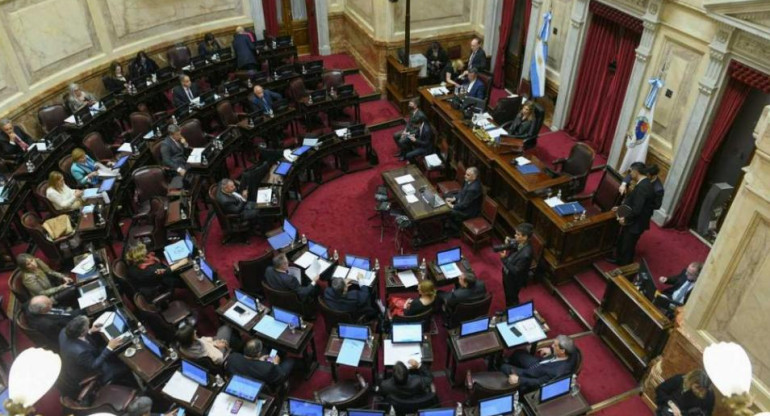 El senado repudió el ataque a CFK_NA