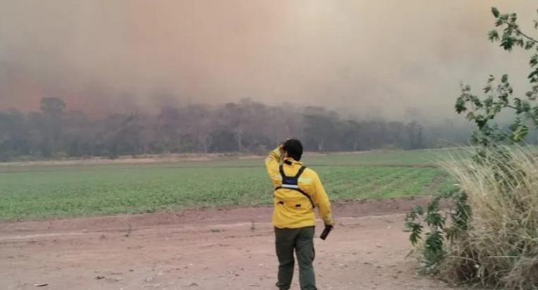 Incendios en Jujuy. Foto: NA.