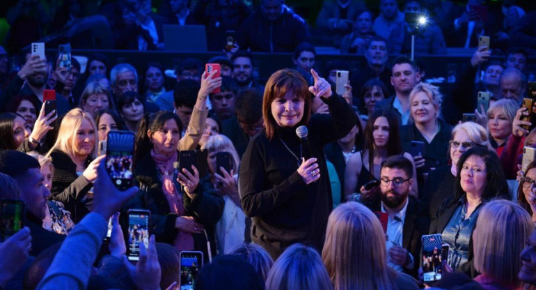 Patricia Bullrich, plenario, NA