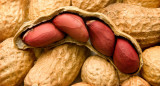 Maní Peanut Foto Reuters Alamy 