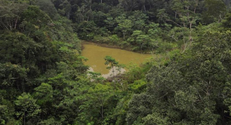 El Amazonas peruano. Foto: REUTERS