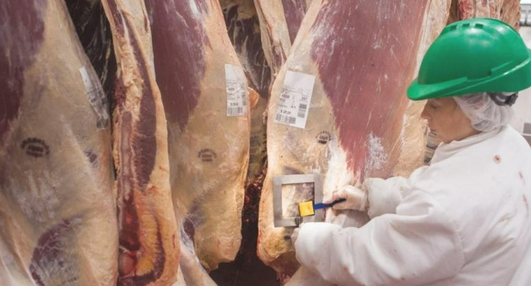 exportacion carne a México foto Na