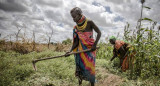 Campos, agricultura. Foto: FAO.