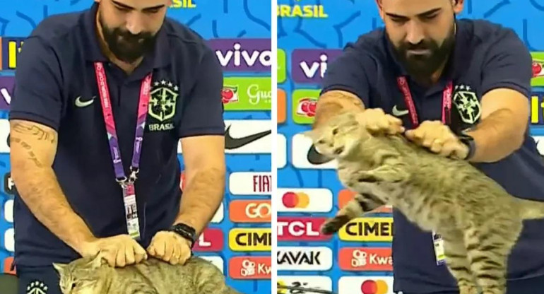 Un gato interrumpió en la conferencia de prensa de Vinicius Junior. Foto: Captura de video.