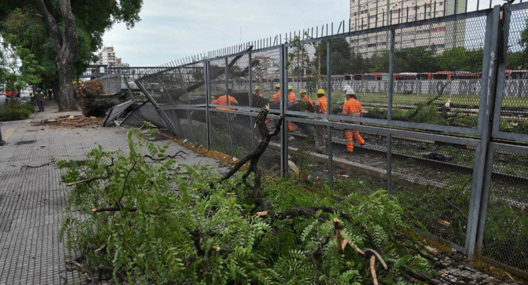 Un árbol interrumpió el servicio del tren Sarmiento. Foto: Télam