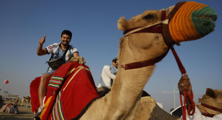 Qatar 2022; virus del camello. Foto: Reuters.