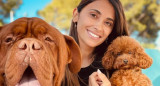 Anto Roccuzzo junto a sus mascotas. Foto: Instagram/antonelaroccuzzo.