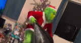 El Grinch. Foto: captura.