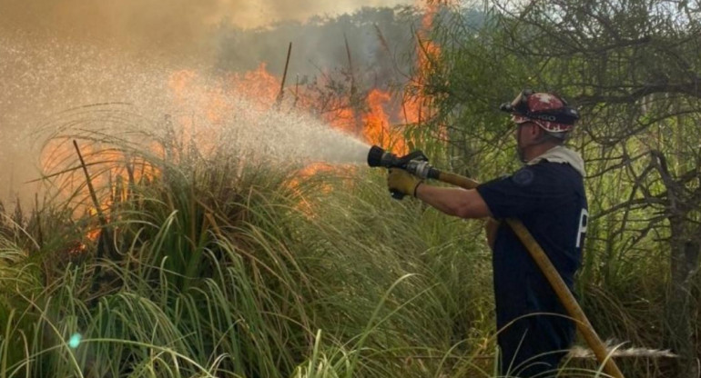 Incendio en Reserva Ecológica de Costanera Sur. Foto: NA.