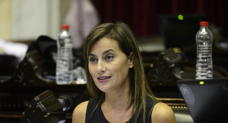 Vanesa Massetani, diputada. Foto: prensa Diputados