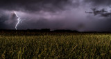 Lluvia; cultivo; sequía. Foto: Unsplash (Eugene Triguba)