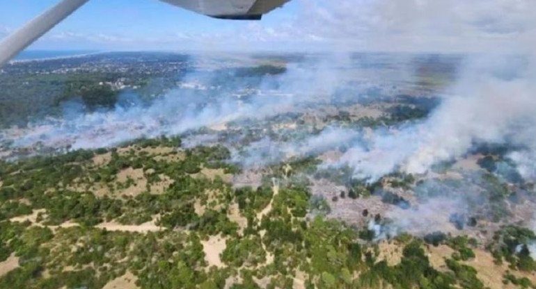 Impresionante incendio forestal al norte de Villa Gesell. Foto: minutog.com