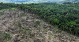 Deforestación en la Amazonia. Foto: Reuters