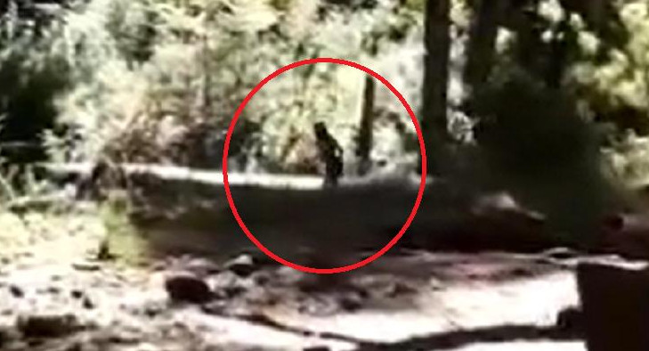 Bariloche: aseguran haber visto y filmado a un duende en la zona