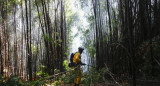 Incendios en Chile: la UE se suma a la lucha contra el fuego que ya se cobró más de 20 vidas. EFE	