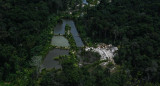 El amazonas. Foto EFE.