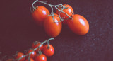 Tomates. Foto: Unsplash Markus Spiske.