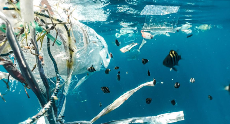 Advierten sobre un aumento "sin precedentes" de plástico en los océanos. Unsplash