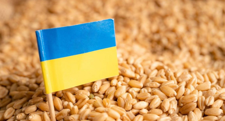 Ucrania, acuerdo de cereales. Foto: REUTERS