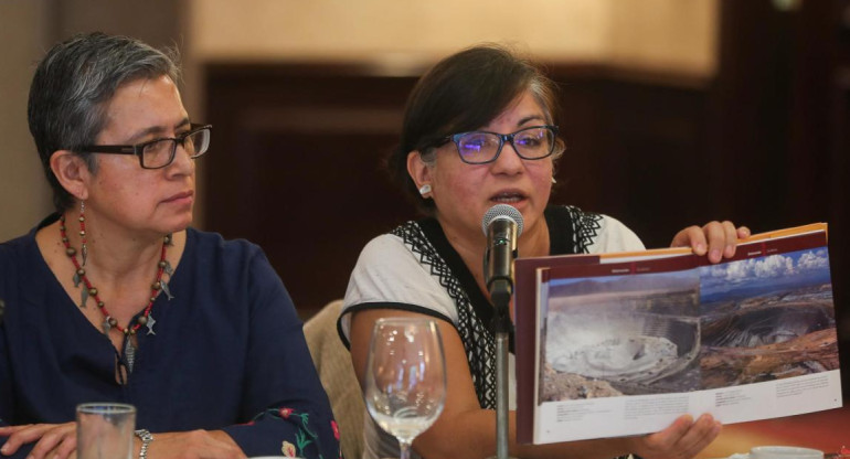 Cecilia Navarro (d), y la representante de la Fundación Heinrich Böll, Dolores Rojas, durante una rueda de prensa en Ciudad de México. EFE