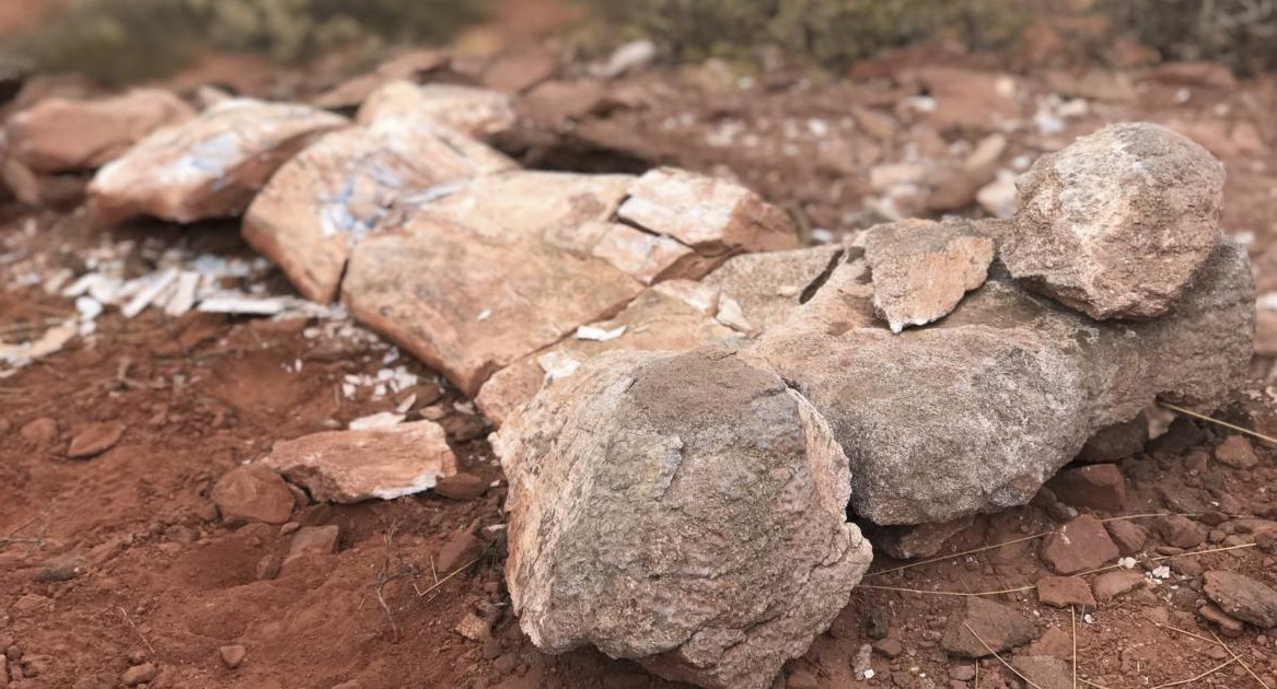 Hallazgo arqueológico en Neuquén. Foto: Telam.