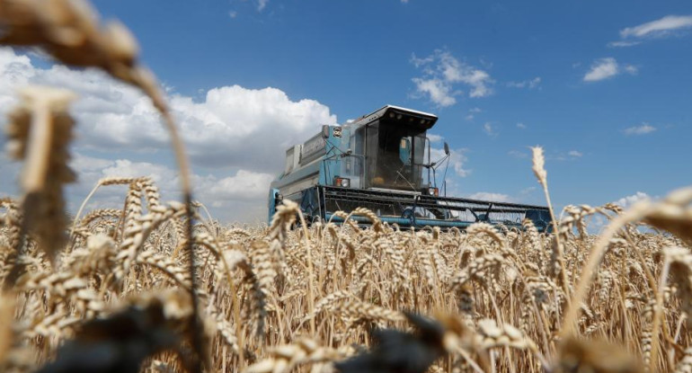 Máquina cosechando trigo en un campo de Kiev, Ucrania. Foto: Reuters.
