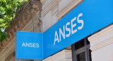 ANSES. Foto: NA.