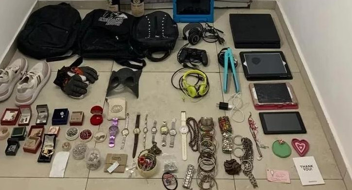Objetos robados por los adolescentes detenidos en La Plata. Foto: NA