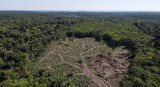 Deforestación en la selva amazónica en Manaos. Foto: Reuters