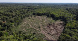 Deforestación en la selva amazónica en Manaos. Foto: Reuters