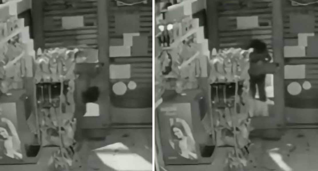 Un nene de 12 años robó $100.000 de un kiosco en La Plata. Foto: captura de video.