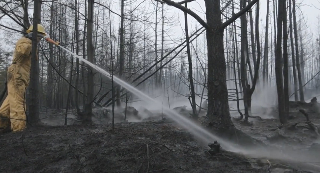 Incendios forestales en Nueva Escocia. Foto: captura video.