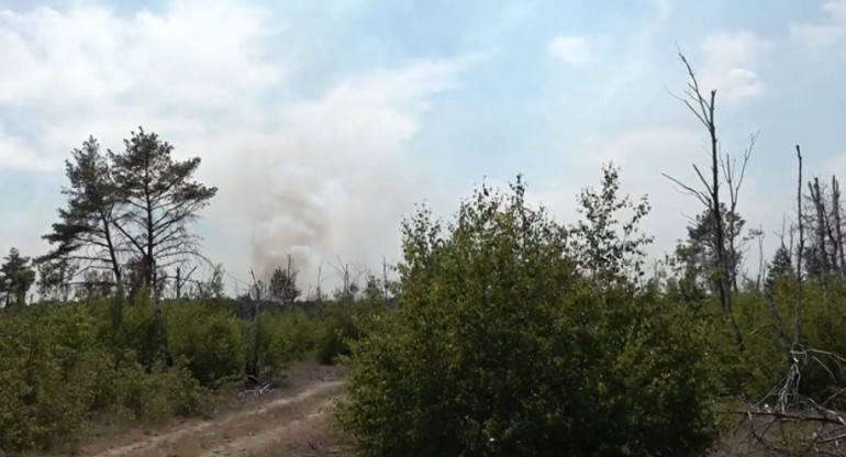 Incendios forestales en Alemania destruyeron varias zonas. Foto: captura video.
