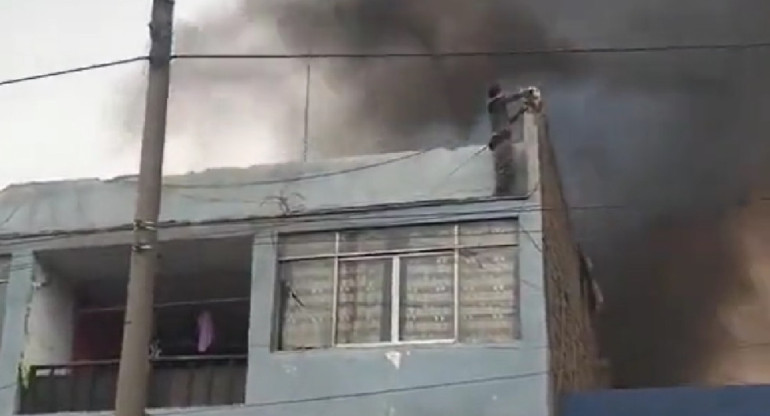 Un joven rescató a más de 20 perros en Perú. Foto: Captura de pantalla.