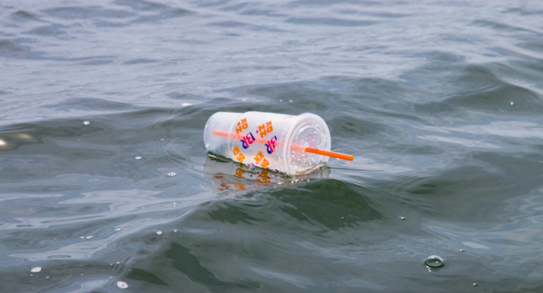 Vaso plástico en las agua de New York. Foto: Unsplash