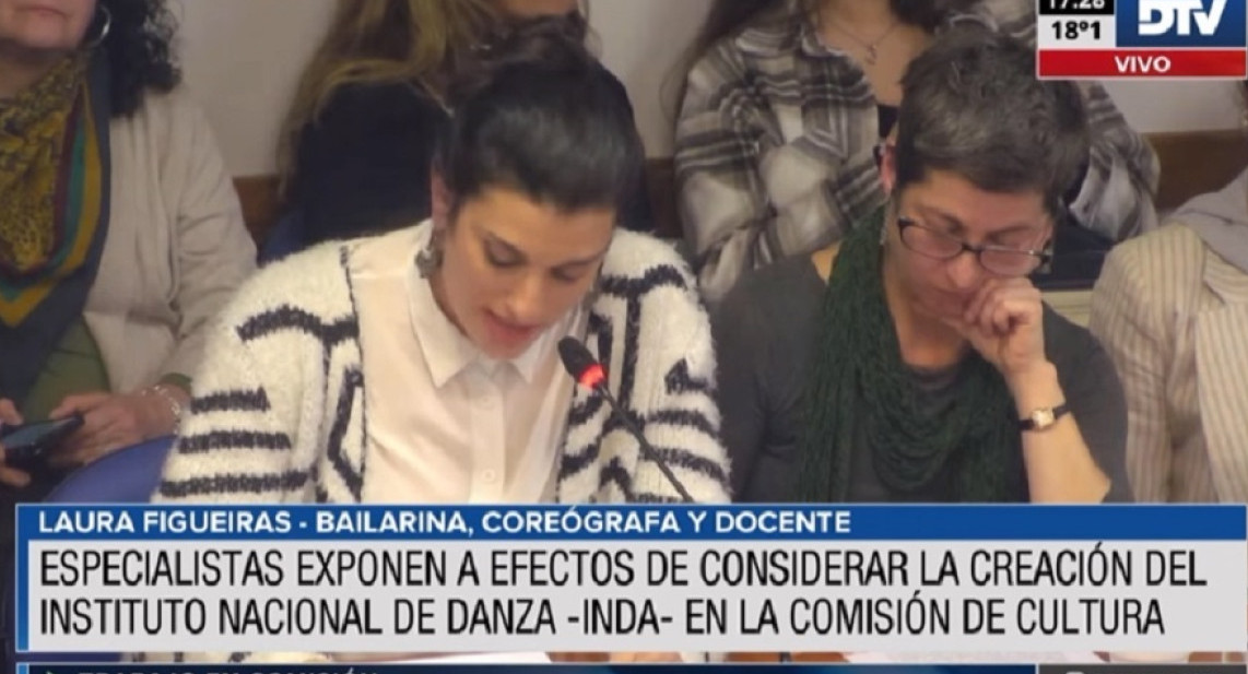 Diputados comenzó a debatir en comisión una ley nacional de danza