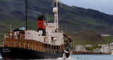 Caza de ballenas en Islandia. Foto: Reuters