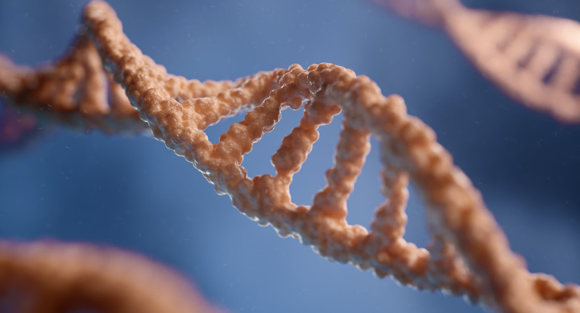 ADN en 3D. Foto: Unsplash