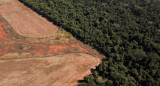 Deforestación en el Amazonía. Foto: Reuters