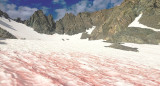 Nieve de Sandia. Foto: Wikipedia, Paul Wade.