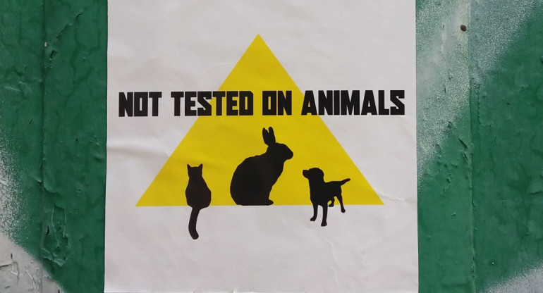 Canadá prohíbe el uso de animales para probar productos cosméticos. Foto: Unsplash.